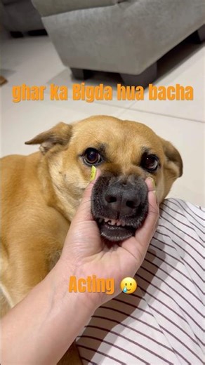 Trust me yeh sirf acting hain kahana na khane ki #manishanegi #cocomelon #coco