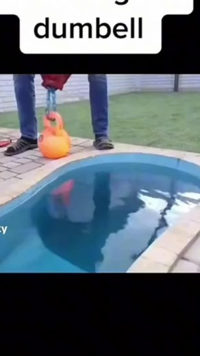 Your welcome :) #mrg #iammrw #mrw #mrwisthebest #🗿