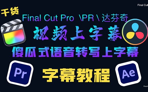 【干货】FCPX剪辑上字幕技巧教程 倒入srt字幕 AI智能语音转写 pr 达芬奇 傻瓜式上字幕 字幕制作