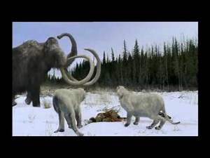 15 Years Of Walking With Beasts! 2001 - 2016