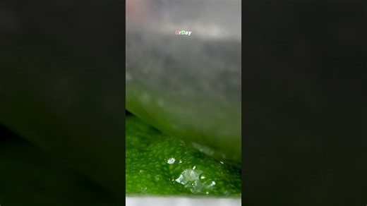 How lemon Squeezer work close up #urday #macro