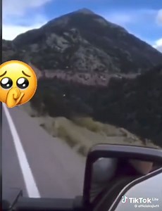 1.3K views · 29 reactions | When you travel with Google map  | Frank Kilimanjaro Patrick | Facebook