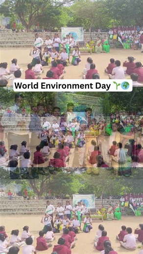 World Environment Day🌱 | Students Take a Stand for Nature |SDUIRS💚