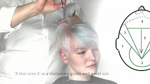 14K views · 29 reactions | Tinkerbell ✨ ✨ move over! This pastel mermaid pixie is what it's all about! Recreate it by watching the FULL how-to video inside the app. Hair: Palle Freese | Stylez App | Facebook