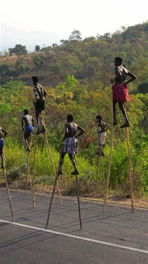 1.2M views · 32K reactions | The Banna Tribe in Ethiopia’s Omo Valley shows us the beauty of tradition — young boys use sticks to guide cattle through tall grass and protect themselves from snakes. This culture and resilience are lessons the world must honor and preserve. : shirley.films/Instagram | Ben Crump | Facebook