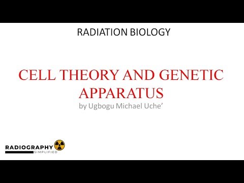 Cell Biology: Exploring Parts of the Cell | Part 2 of Comprehensive Radiation Biology Course