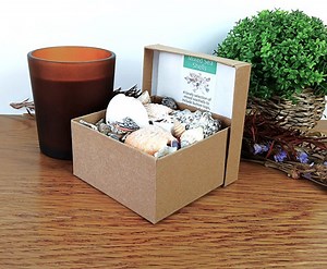 150g Mixed Natural Seashells Crafts Display Decor Aquarium in Presentation Box  | eBay UK