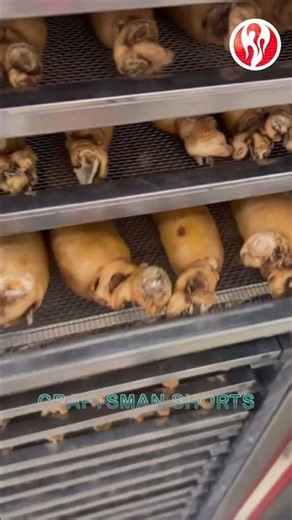 Ginseng | Drying Bulk Ginseng in a Dryer