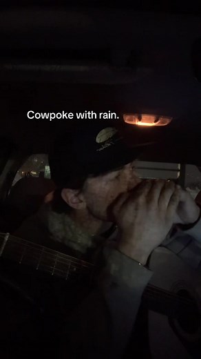 Learn to Play Cowpoke on Harmonica