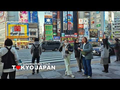 Tokyo Japan, Walking Tour Ginza, Nihonbashi, Ikebukuro, Nishiikebukuro and Ueno Park, Travel, 4K