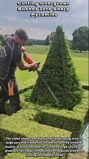 Cutting Overgrown Bushes Into Sharp Pyramids