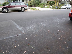 Insect Explosion Spawns Sticky Situation for Residents This Season