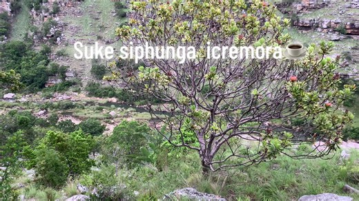 Exploring Bizana: Local Culture and Casino Highlights