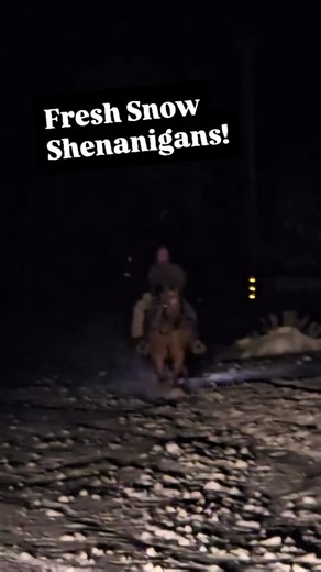 Goldsmiths Employees know how to have fun when it snows. Fred would be proud! | Goldsmiths Sports