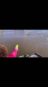 248 reactions · 5 comments | My kids feeding the pelicans all my bait | Pickens NaTasha | Facebook