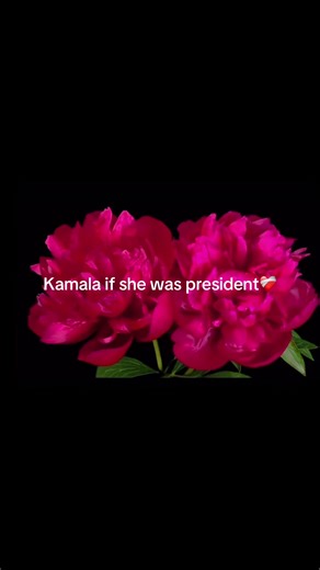 。。。。。。。。。。。。。。。。。。。。。。。。。。。。。。。。。。。。。。。。。。#fyp #fyp #ihatetrumpsupporters #popular