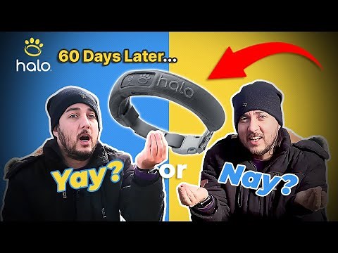 A 60-DAY DEEP DIVE INTO HALO COLLAR 3'S VIRTUAL GPS FENCE ADVANCED FEATURES FOR DOG SAFETY