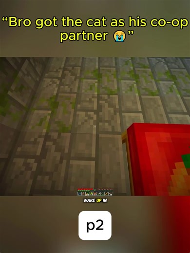 Cat Joins Minecraft Co-op Adventure