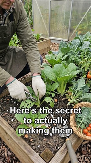 The Viral Eggshell Hack to Stop Blossom End Rot