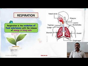 class 10th science chapter 5 || Rajbinder Singh Education