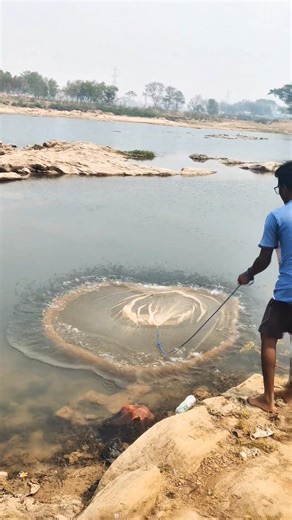 Perfect Net Throw! 🐟 #fishing #shorts #viral #trending #explore #shortsfeed #netfishing #fishinglife