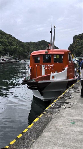 石廊崎岬めぐり遊覧船(マリンバード) 静岡県伊豆半島最南端 2026.5.6