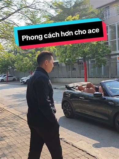 Mini Cooper S Convertible 2023: Phong Cách Thể Thao