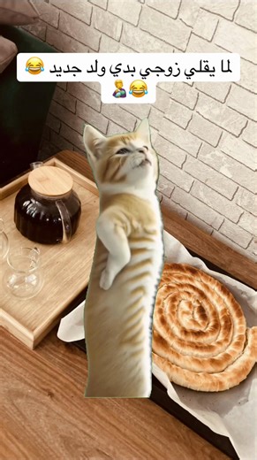 #MemeCut #pyfffffffffffffffffffffffffffffffff #Meme #ضحك #ضحك