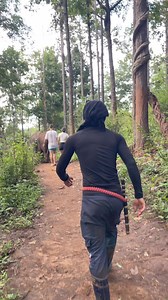 8.7K views · 386 reactions | Bank Mahout #jungle #walk #with #elephant | Bank Mahout | Facebook