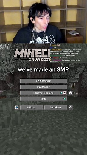 stan on Instagram: "THE SMP #minecraft"