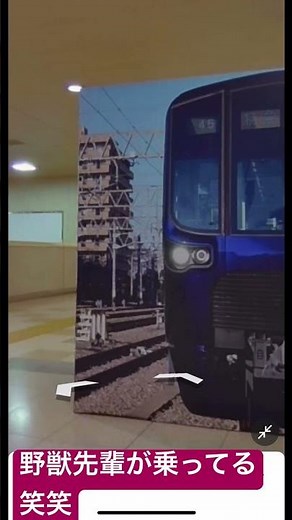 野獣先輩がGoogleマップに？？#野獣 #野獣先輩 #googleマップ #グーグルマップ