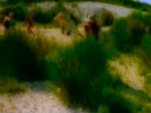 41K views · 2.1K reactions | * ROBIN COOK. "Comanchero" | ZONA Discotek 80's y 90's | Facebook