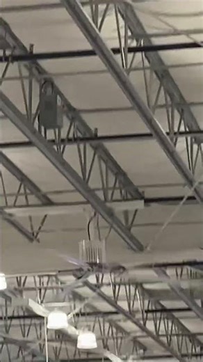 Big ceiling fans at a costco