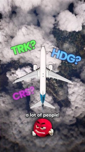 Can You Read This Airplane Instrument? | HEADING VS TRACK Explained