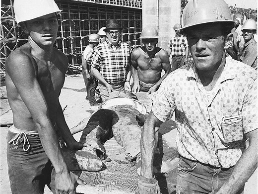 The Ottawa bridge collapse that shocked the world: 'They didn't have much time to scream'