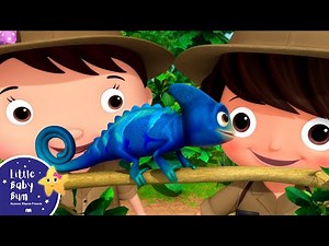 Animals That Camouflage | Nursery Rhymes and Kids Songs | Little Baby Bum | Animal for Kids