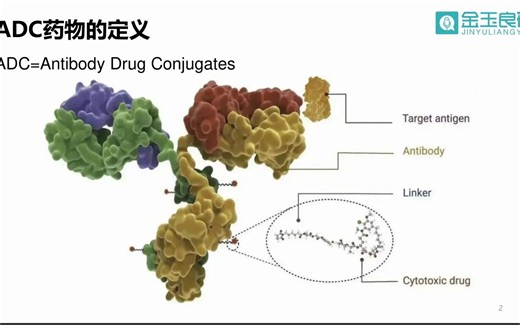 ADC药物的特点及其研发思考