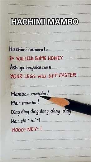 🐱 HACHIMI MAMBO Funk (Lyrics+English Translation)