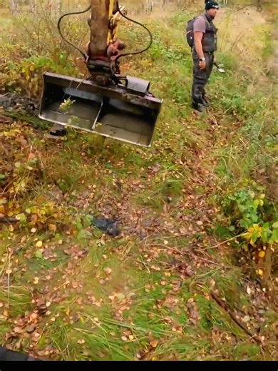 245K views · 1.2K reactions | removing Beaver Dams with Excavators. | Beaver Dam Removal | Facebook