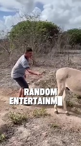 26K views · 1.6K reactions |  CPM Explained in 30 Secs! Ever wonder how much creators really earn per 1,000 views? No techie jargon, no confusing formulas just simple, clear numbers. Perfect for anyone starting out or curious about content monetization.  #PinoyContentCreators #MonetizationSimplified #CreatorTips #ContentGrowth #DigitalCreators #RealTalkSeksiyon #VlogLifePH | Ralph Aldave | Facebook