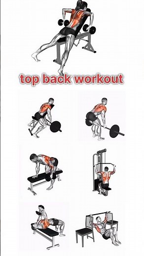 The Best Back Exercises (For Maximum Growth)