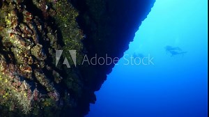cave diving underwater scuba divers exploring reefs and caves