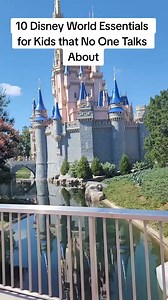 132K views · 502 reactions | 10 Disney World Essentials for Kids that No One Talks About #magickingdom #Disneymom #disneywithkids #disneytrip #travelwithkids #disneyparks #MomsofTikTok | Ani Ruiz | Facebook