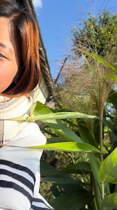 Amboo kosto Dar lakdo Dhaka ko 😂😂😂 | Malati Rai