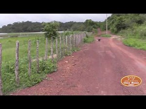 PASSEIO NUM LUGAR BEM DISTANTE DA POVOAÇÃO - PAISAGENS RELAXANTES