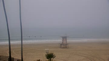 Blackies Surf Report, Surf Forecast and Surf Cams - Surfline