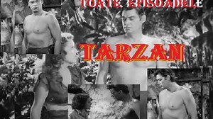 TARZAN --- toate episoadele --- subtitrare in romana