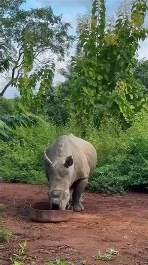 estination Côte d’Ivoire 🇨🇮😍👌🏾