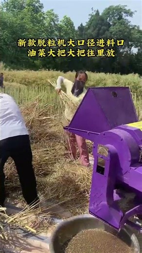 Throw away the flail now! The new threshing machine can operate for