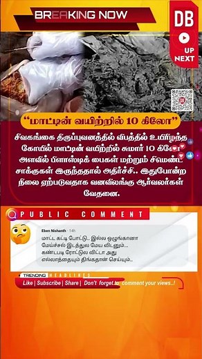 10 kg of Plastic Found in Cow’s Stomach! Shocking Environmental Alert 🐄🚯